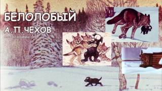 Белолобый АПЧехов Аудио книга Anton Chekhov Audiobook Belolobiy [upl. by Nnaecarg]