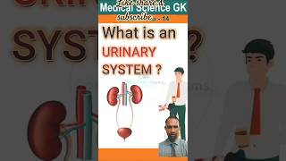 Urinary System  what is an urinary system shorts anatomy physiology drxtanveerrawal [upl. by Flavio697]