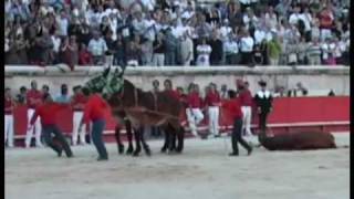 Feria de Pentecôte  La corrida du Samedi 30 mai [upl. by Benoit192]