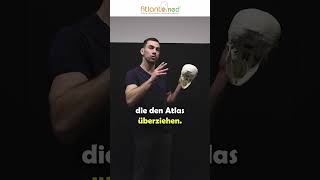 Wie ist der Ablauf einer Atlaskorrektur nach der AtlantomedMethode  SHORT [upl. by Sumedocin]