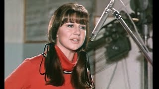 The Seekers  Ill Never Find Another You HQ Stereo 196468 [upl. by Rose]