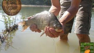 Łowienie na method feeder  Medalowy karaś karpie [upl. by Ozneral503]