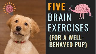 Dog Mental Exercise For A More Relaxed Dog [upl. by Alitha]