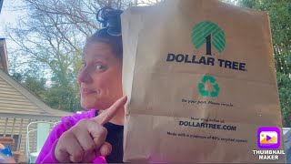 XL Dollar Tree Haul plus Bonus Walkthrough Footage 🛍️ 31724 [upl. by Emlynne]