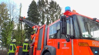 STURMSCHADEN IN LANGENFELD  Baum drohte umzustürzen  Gefahr über Drehleiter beseitigt [upl. by Aissirac780]