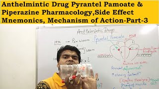 Anthelmintic Drug Pyrantel Pamoate amp Piperazine PharmacologySide Effect Mnemonics MechanismPart3 [upl. by Sheedy]