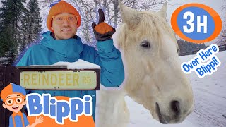 Blippi Goes To Reindeer Farm  Blippi and Meekah Best Friend Adventures  Holiday Videos for Kids [upl. by Yhtnomit843]