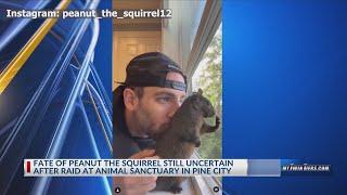 I just want answers Peanut the squirrels owner speaks out about DEC seizure [upl. by Liliane]