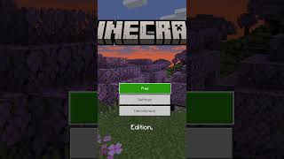 Don’t missing the ENDING 🤯 minecraft minecraftmemes minecraftbuilding minecraftserver smp [upl. by Iderf]