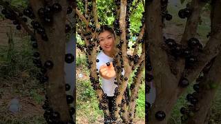 Jaboticaba Fruit Fram amp Cutting so Fresh  Have You tried Jaboticaba fruit shorts youtubeshorts [upl. by Brinna]