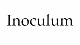 How to Pronounce Inoculum [upl. by Artemis355]