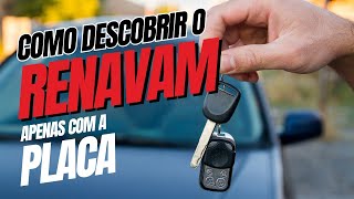 Como Consultar Renavam Pela Placa  Passo a Passo [upl. by Bough]