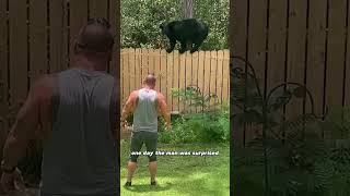 A bear family moved into the man’s home animals bear friendship shorts [upl. by Yablon]