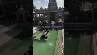 Swarnagiri Venkateswara Swamy Temple song temple shortvideo trending youtube [upl. by Jankey]