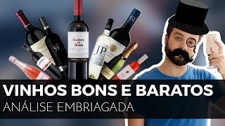 17 vinhos bons e baratos  Cabernet Merlot Espumante Branco Tinto e [upl. by Nylsirk]