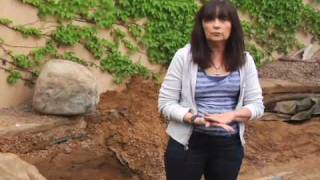 Rainwater Harvesting System Demonstration [upl. by Gentes]