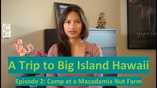 A Trip to Big Island Hawaii Camp at a Macadamia Nut Farm [upl. by Akino88]