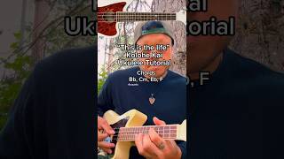 Kolohe Kai  This is the life ukuleletutorial ukulelesongs ukulelecover kolohekai [upl. by Ingalls]