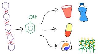 Lignin to Chemicals [upl. by Eityak]