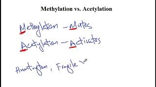 USMLE ACE Video 18 DNA Methylation and Histone Acetylation [upl. by Harutek]