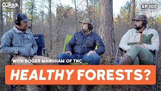 Are Ozark Forests Healthy w Roger Mangham  Ep 107  The Ozark Podcast [upl. by Ecnerret459]