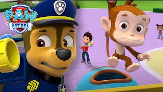 Los cachorros intentan atrapar a un mono muy tonto  PAW Patrol Episodio Español [upl. by Ecniv263]