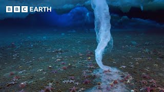 The Finger of Death that Freezes Everything it Touches  Earths Great Seasons  BBC Earth [upl. by Ayikahs943]