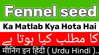 Fennel Seed Meaning  Fennel Seed Meaning In Urdu Hindi  Fennel Seed Ka Matlab Kya Hai [upl. by Brownley]