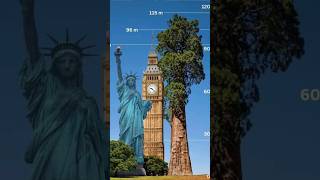 Duniya ka sabse lamba tree worlds longest tree facts about world shortvideos shorts america [upl. by Matthews269]