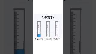 Neurotransmitters  Types of Neurotransmitter in Central Nervous System Anxiety  Happiness  Love [upl. by Zednanreh]