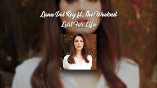 Lana Del Rey ft The Weeknd  Lust For Life [upl. by Breena]