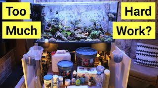 Watch This Before You Get A Saltwater Aquarium  FULL Maintenance Rundown [upl. by Maleen144]