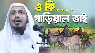 ও কি গাড়িয়াল ভাইগানগাইলেন Rafiqullah Afsari New Waz নোয়াখালী হুজুর রফিক উল্লাহ আফসারী [upl. by Bagger]