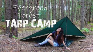 Stealthy Solo Tarp Camp in Evergreen Forest 🌲 Wild Camping UK [upl. by Vic799]