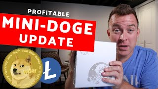 How to Update Your MiniDoge Miner  UPDATED [upl. by Ardnahsal]