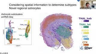 Workshop quotSpatial transcriptomics data analysis in Pythonquot  22 cell2location [upl. by Venuti]