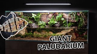 The ultimate paludarium  by aquacreate [upl. by Venita]