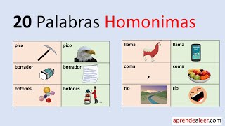 20 ejemplos de palabras homonimas y su significado [upl. by Eppie]