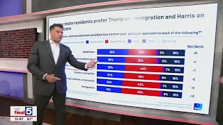 New polling shows voters vibes on Harris Trump and the issues [upl. by Ahsilac]