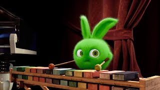 Sunny Bunnies  Making Music  SUNNY BUNNIES COMPILATION  Videos For Kids [upl. by Trainor]