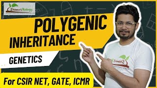 Polygenic inheritance CSIR NET  polygenic inheritance vs multiple alleles [upl. by Benildis]