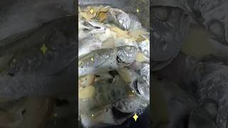 Paksiw Isda Recipe youtuber food shortvideo cooking yummy nonoyvloggertvchannel6907 [upl. by Eenahs]