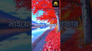 সাইয়েদুল ইস্তেগফার islamicquotes islamiclyrics ইসলামিকভিডিও shorts সাইয়েদুলইস্তেগফার [upl. by Anayra]