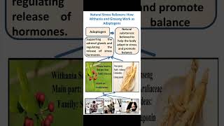 Boost Your Health with Withania and Ginseng Top Adaptogens Explained shorts ytshorts [upl. by Ester]