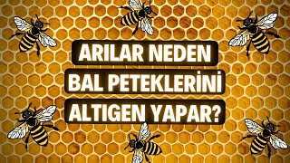 ARILAR NEDEN BAL PETEKLERİNİ ALTIGEN YAPAR [upl. by Ahiel]