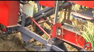 Presentation 2014  ERME  Mechanization of garlic growing [upl. by Henghold]