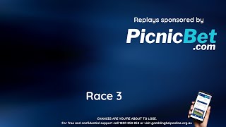 Race 3 Healesville 2nd November 2024 [upl. by Connell]