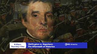 Wellington vs Napoleon The Aftermath of Waterloo [upl. by Tena]