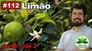 Autor da Própria Saúde  Limão parte1 diabetes hipertensão câncer colesterol gastrite [upl. by Bridget]