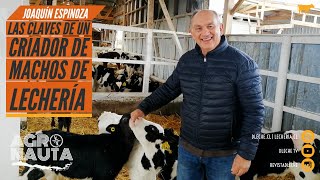 Las claves de un criador de machos de lechería  Agronauta Nº58 [upl. by Jeanelle]